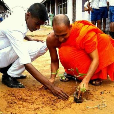 255954117 1562077910829700 5739211200529969037 N